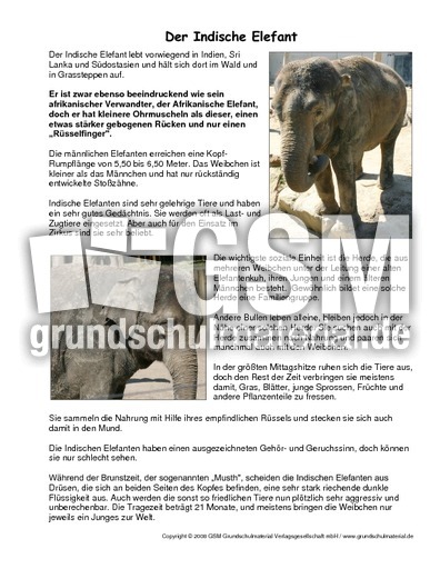 Indischer-Elefant-Steckbrief.pdf